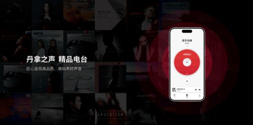 品质内容 丹拿之声App正式上线ag旗舰厅app随时随地聆听高(图2)